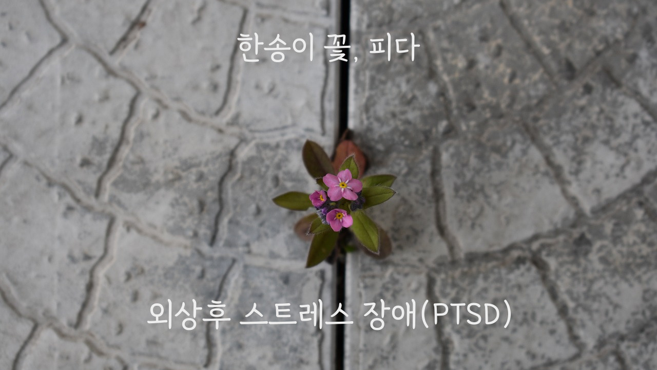 외상후 스트레스 장애(PTSD)